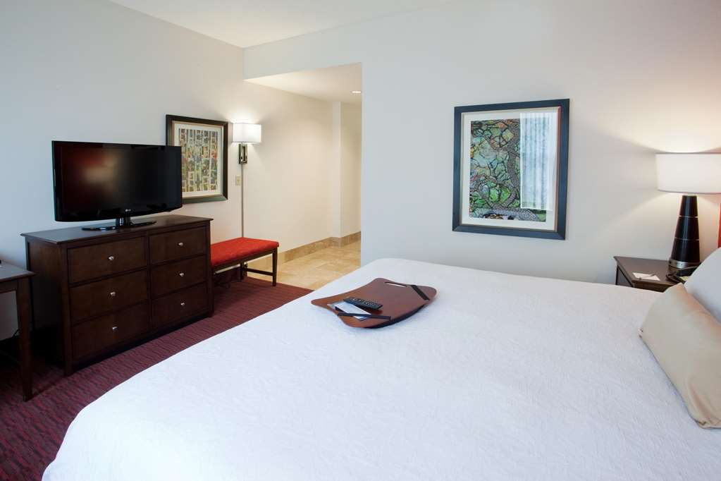 Hampton & Atlanta-downtown 3*