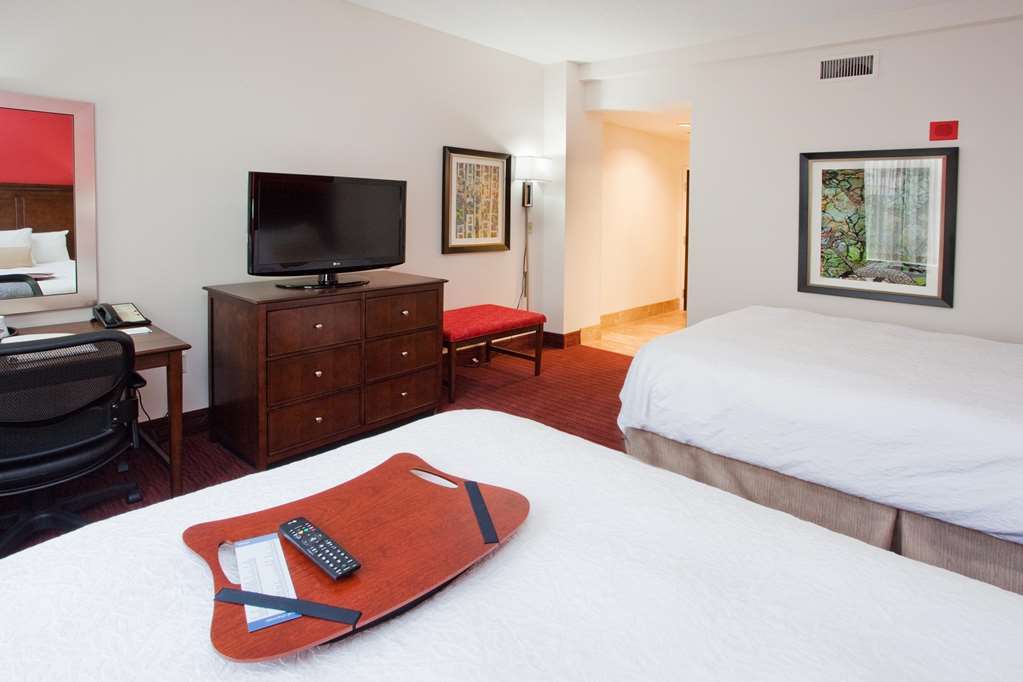 Hampton & Atlanta-downtown Hotel